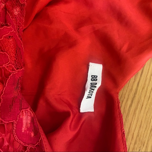 Bb Dakota Lace Shift Dress - Picture 7 of 7